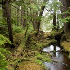 Gwaii Haanas National Park Reserve and Haida Heritage Site