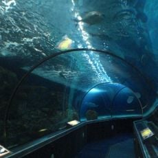 SEA LIFE Minnesota Aquarium