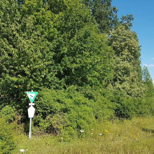 Naturdenkmal See Im großen Eichelsee