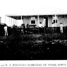 Fossil Downs Station