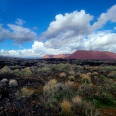 Robert L. Shepherd Desert Arboretum