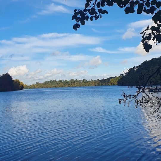 Château de la Gandonnière