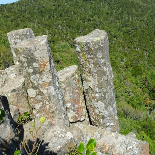 Mount Cargill Scenic Reserve