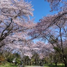 皇子が丘公園