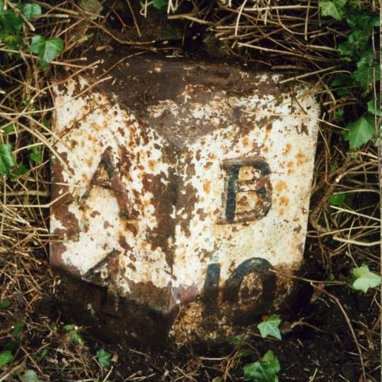 Milepost, South Charlton Bog, Ellsnook Plantation