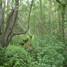 Geestmoor-Klosterbachtal