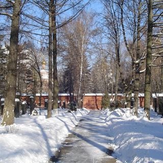Cementerio Novodévichi