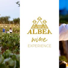 Museo del vino di Alberobello