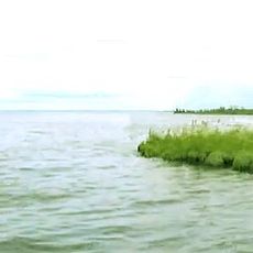 Sindorskoye Lake