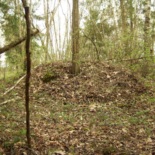 Aukštųjų Rusokų pilkapynas