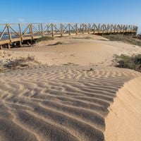 Province of Alicante