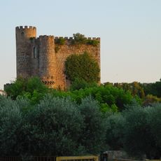 Castle of San Martín de Valdeiglesias