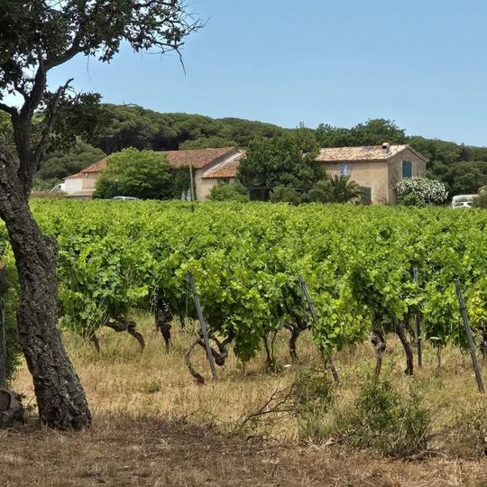 La Mataranne