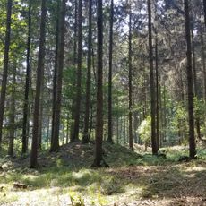 Hügelgräberfeld Feiting