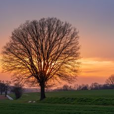Neckarbischofsheimer Höhen