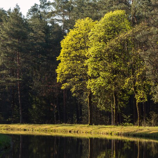 Schleusenhaltung Schleuse 50