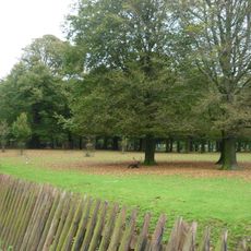 Koekamp, The Hague