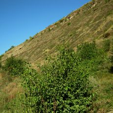 Ivane-Zolote incision of the lower Devon