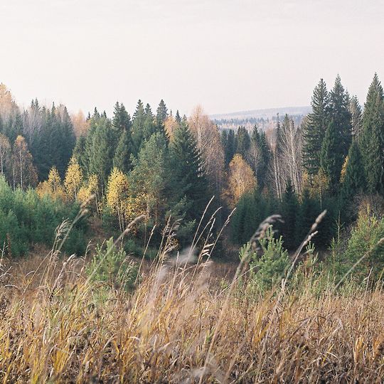 Jakšur-Bod'inskij rajon
