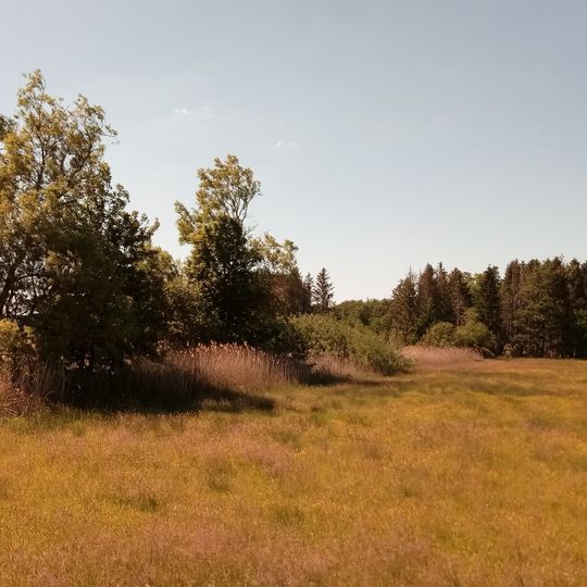 Lappen bei Walldürn