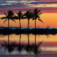 Matheson Hammock Park
