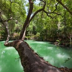 Green Springs Park