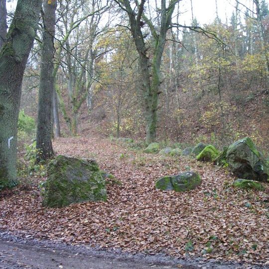 Großsteingräber bei Wietzetze