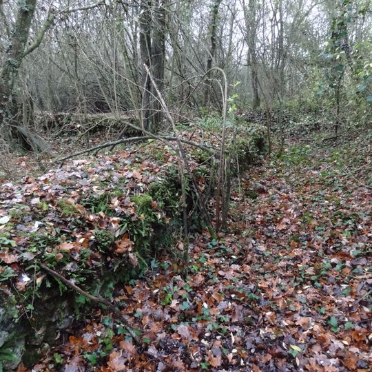 Fanum de Cracouville