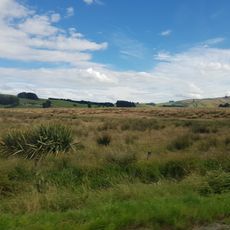 Pukerau Red Tussock Scientific Reserve