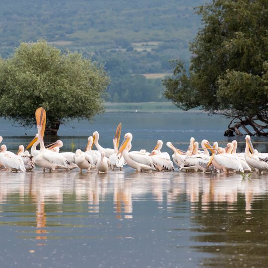 Techniti Limni Kerkinis - Oros Krousia