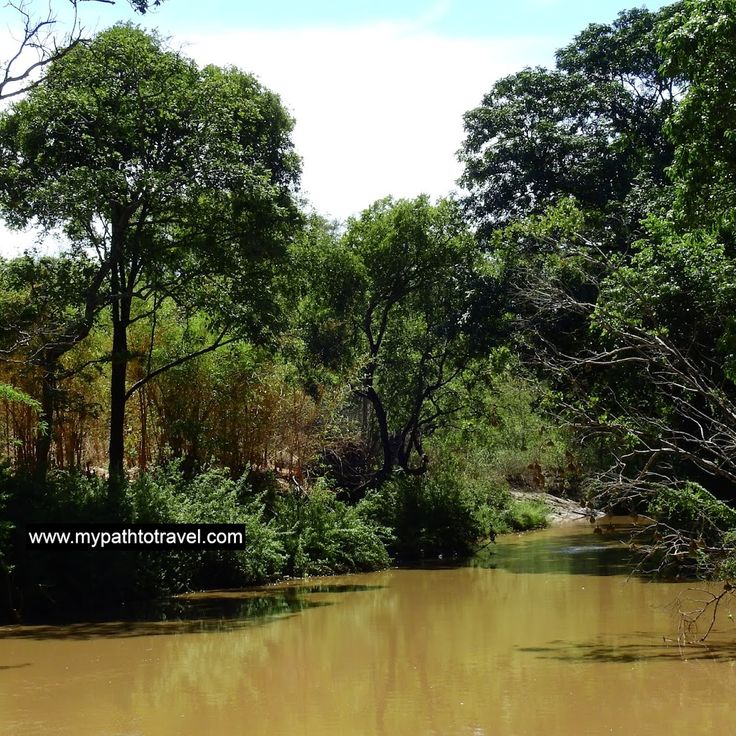 Centro de Vida Selvagem de Lilongwe