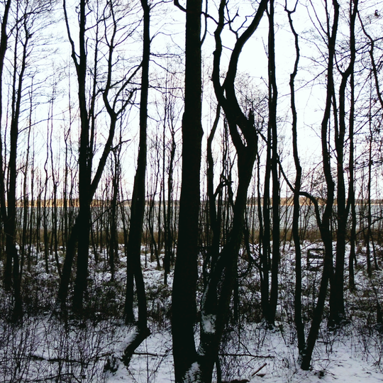 Borgwallsee und Pütter See