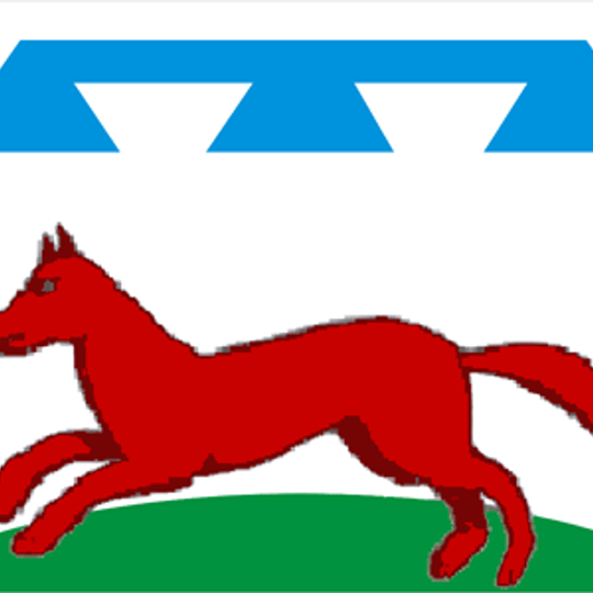 Chislavičskij rajon