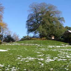 Burgstall Eulenschwang