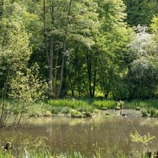 Naturschutzgebiet Wiesentälchen von Beedenkirchen