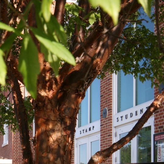 Arboreto y jardín botánico de la universidad de Maryland