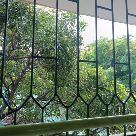 Timoteo Paez Elementary School