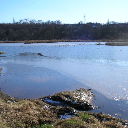Rodley Nature Reserve