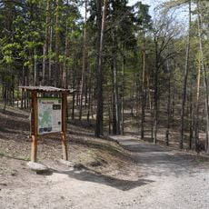 Lesnická naučná stezka Holedná