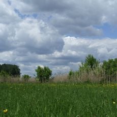 Körös-éri Tájvédelmi Körzet