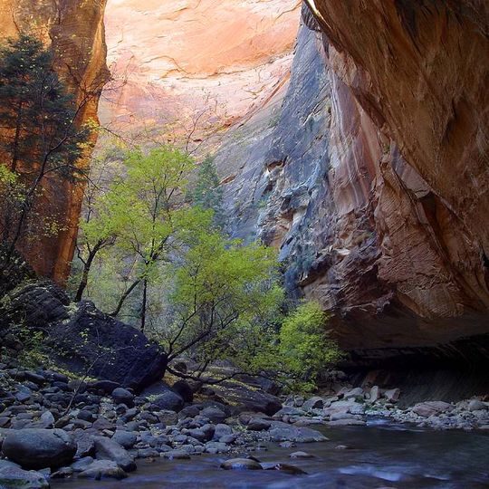 Estrechos del Río Virgen