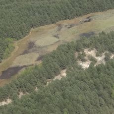 Nature reserve Piskorzeniec