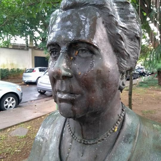 Doutora Carlota Pereira Queiroz