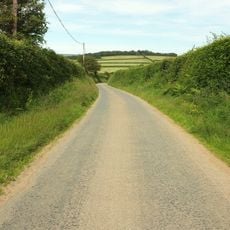 Camp S of Birch Ham Wood