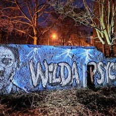 Wilda psychiczni
