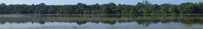 Vue panoramique 0