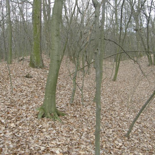 Befestigte Höhensiedlung Ochsenberg
