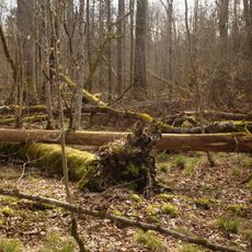 Podolany Nature Reserve