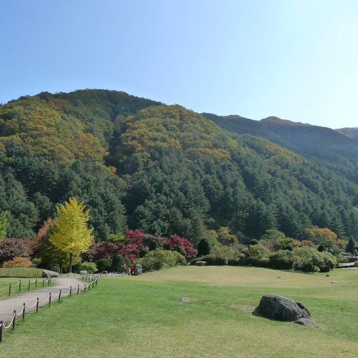 Garden of Morning Calm