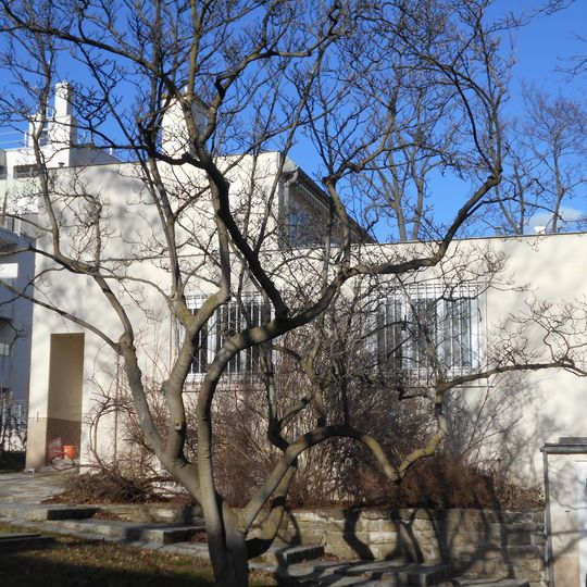 Anlage ehem. Haus Bunzl mit befestigten Außenflächen